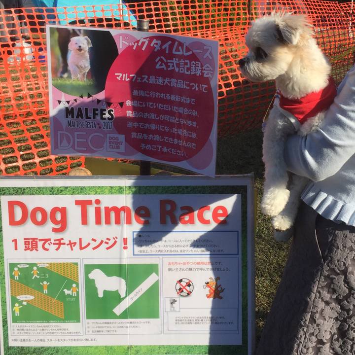 45930da8 5c2c 40a5 8d22 7269c2c8c95b 1509717650715