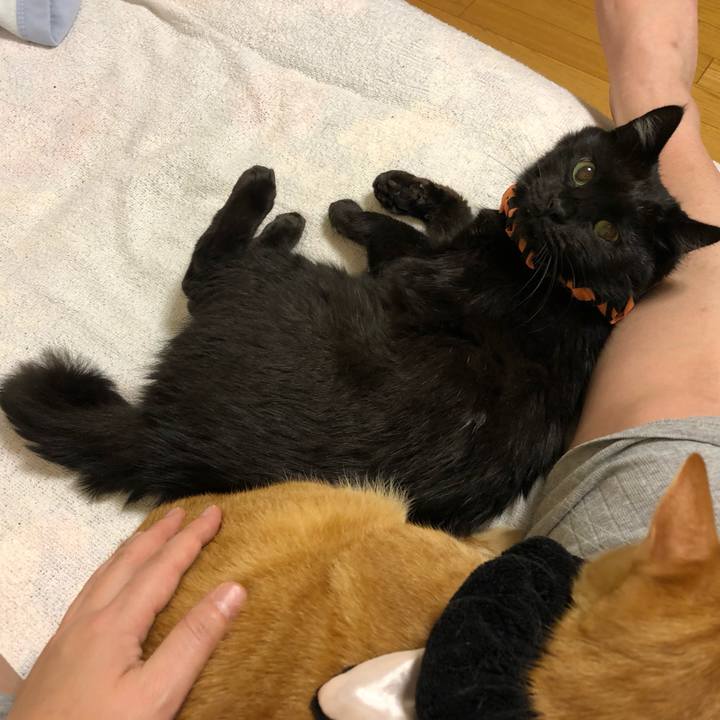 45931b3f e887 45ae b054 fc03ae4a97c4 1570316884064