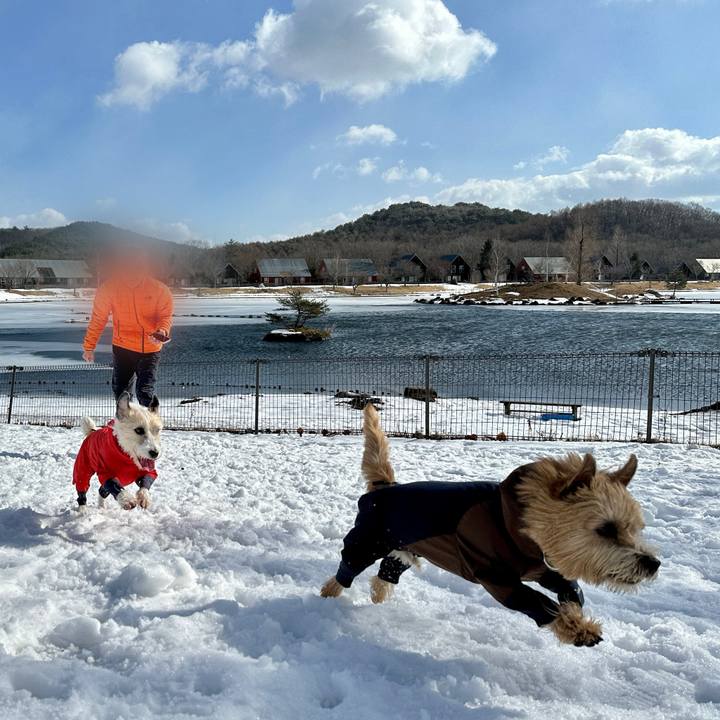 45932e4d a8ab 47d8 aef8 f69be464c655 1768572872428