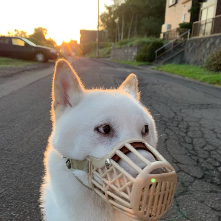 4593334a 5e34 48ec b491 db60009b4e9a 1569533080228