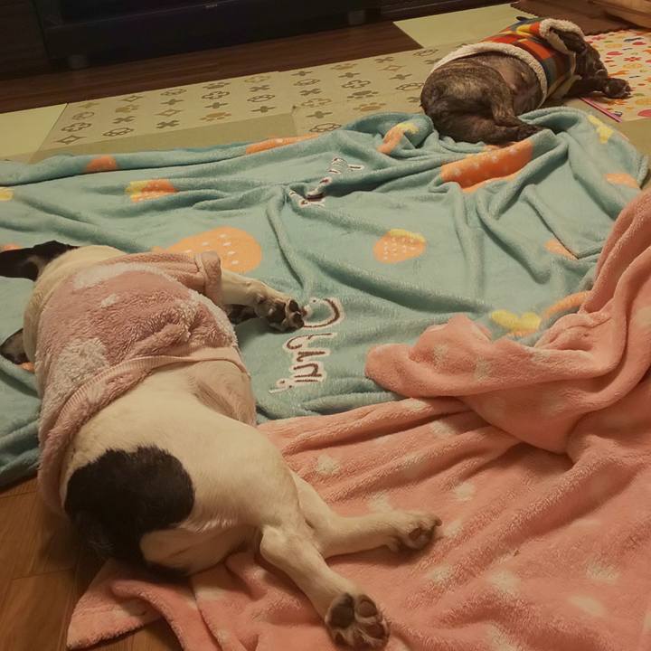 45937990 2d8b 4b34 851a 303ff36a7ac9 1677752732143