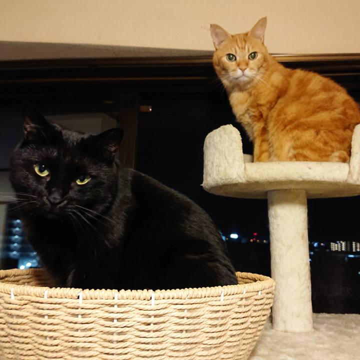 45937b59 2152 4818 9543 d1d97a774dca 1602821457934