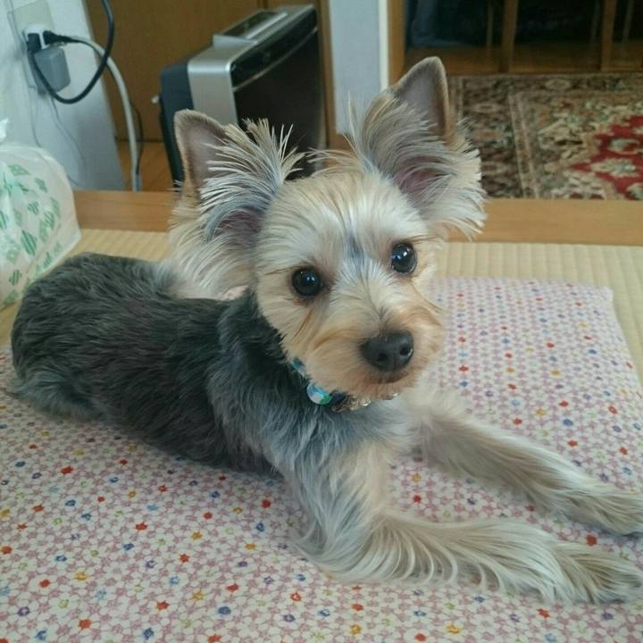 45938c7a a5c7 47dc bc21 b867b8509365 1543528576062