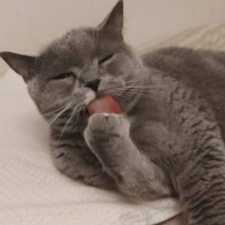 4593cb89 d775 4335 83a0 f3e3851d5b66 1615039325415