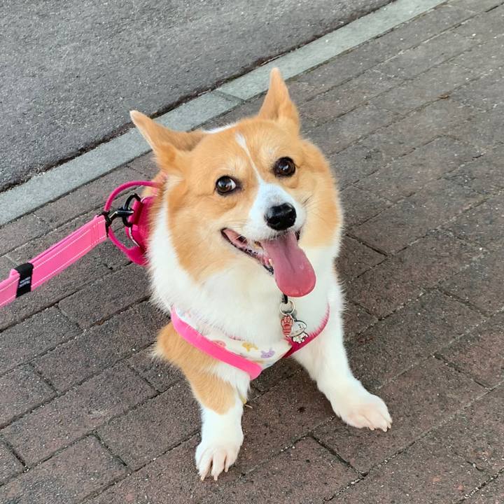 4593f50c c715 4c36 9adb 23ef9124cf33 1599687834265