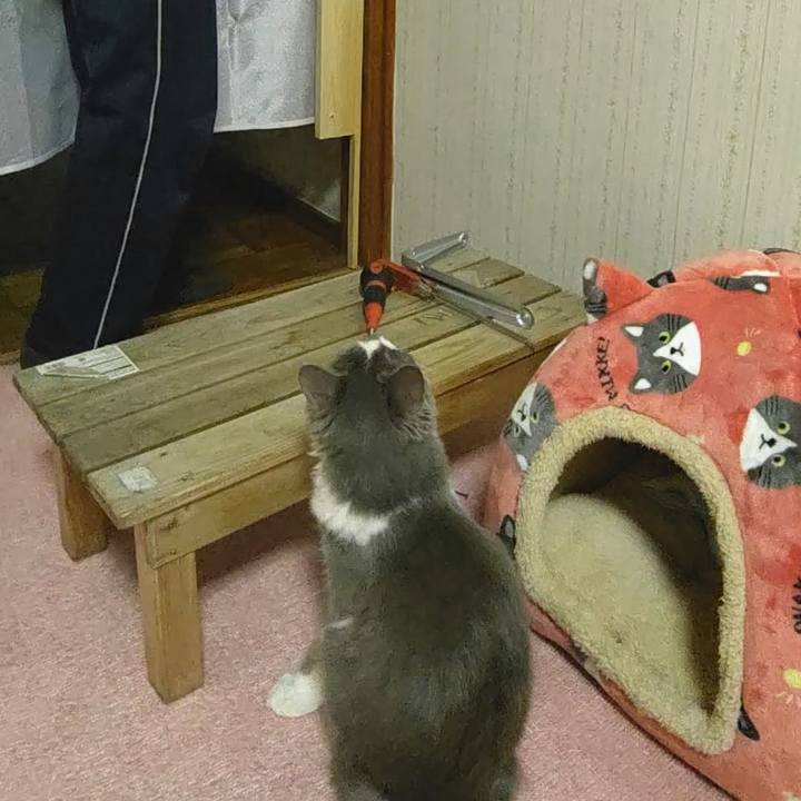 459436a1 5409 4ff4 a340 02c3e6812d37 1571025252842