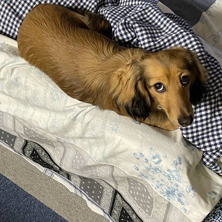 459456cb 8f68 494c 85ff 1cf3cd9c8407 1621863463704