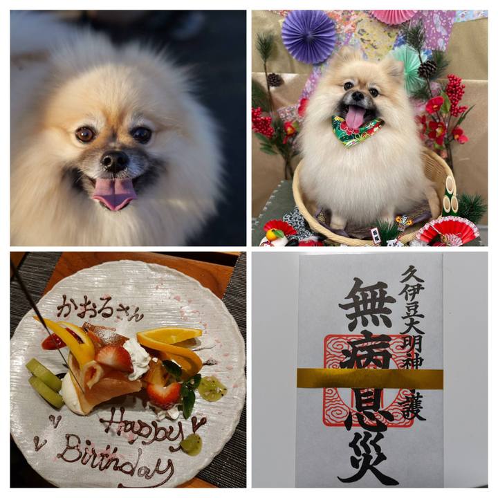 45945bab 543c 4bdb 971d a8a8067cf5d0 1737212621988