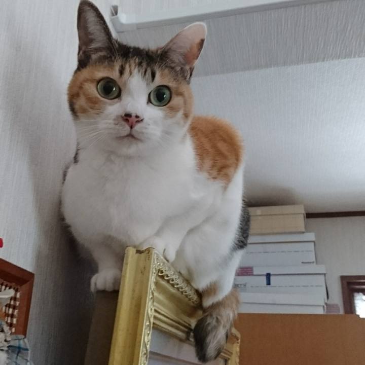 45945e6f 449d 45fb 824c a803b5e2bd42 1546575089489