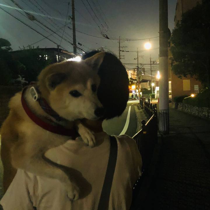 45946c31 24e1 44f3 9e27 33bd9af743eb 1695984231012