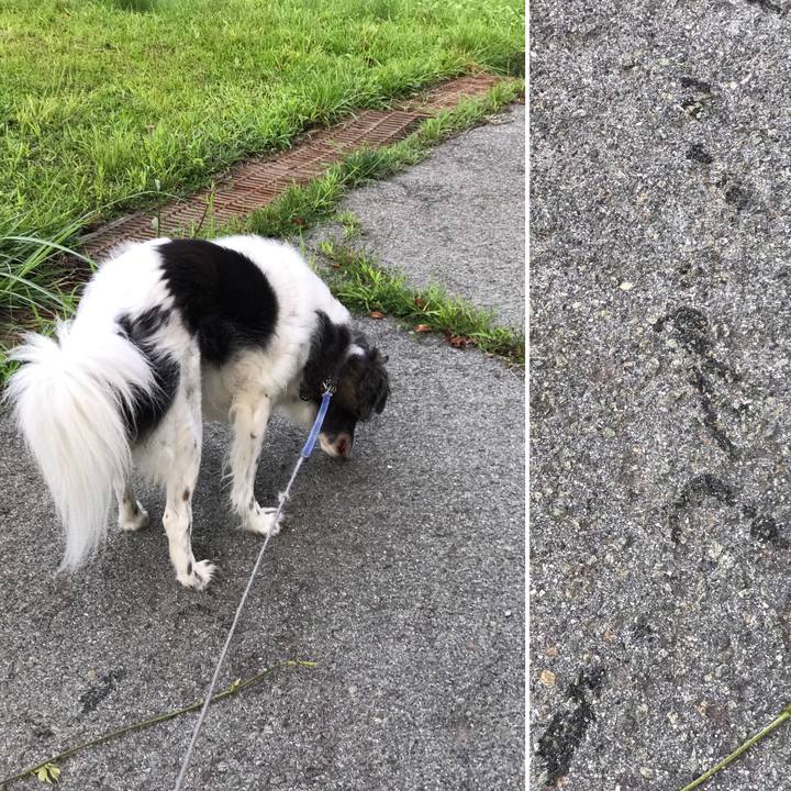 45949824 0890 4cf5 8163 6a7b4a41f360 1534641791184