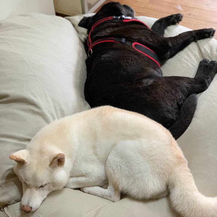 459499d3 fcfa 46e2 be12 5bc70f615670 1572322818555