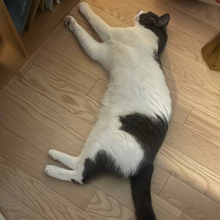 4594cefb 3d3c 4cf0 b806 51bf82b33ab4 1626428258740