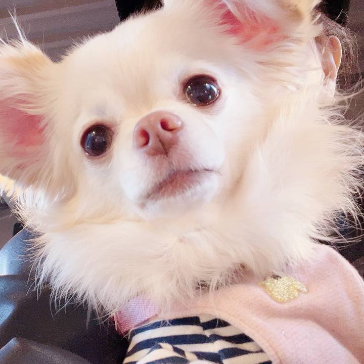 4594d116 2445 4595 8920 9aa6f6067d72 1732329403177