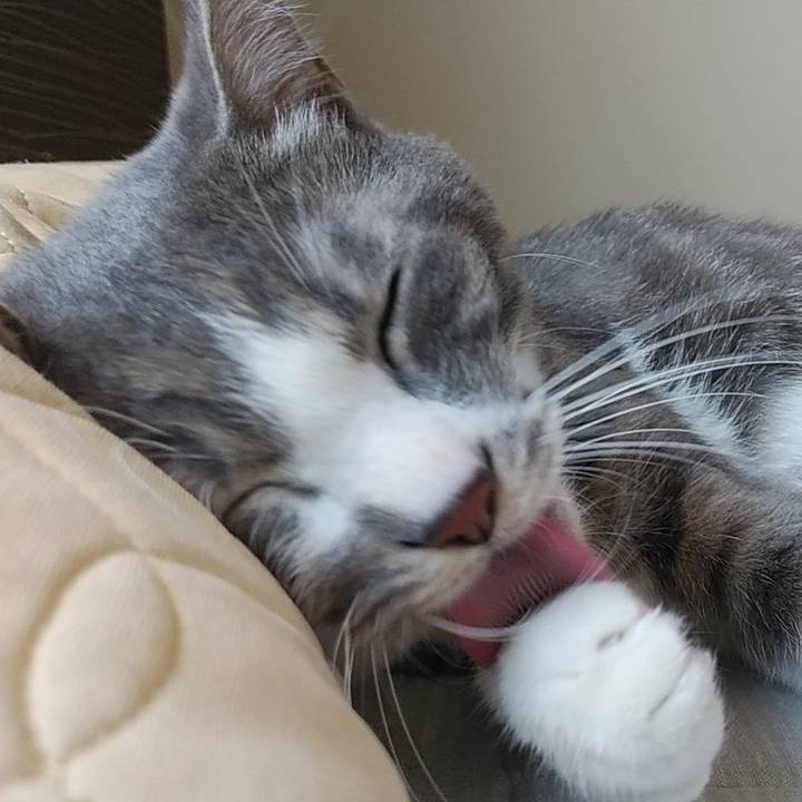 4594d372 f200 4163 b195 c17aba9d14d9 1590721153632