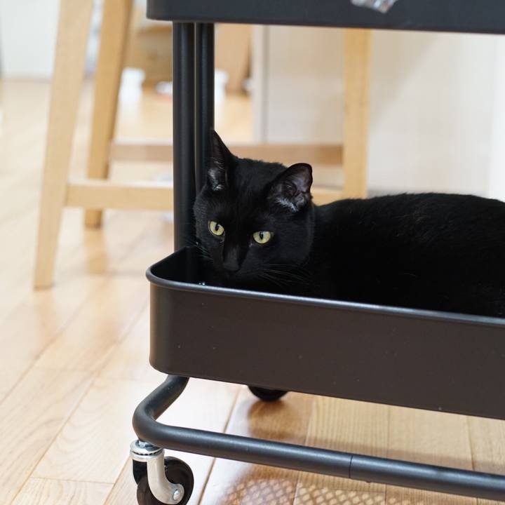 4594e3f0 b8dd 4213 a1e5 a48c02ffb5a8 1531015547317