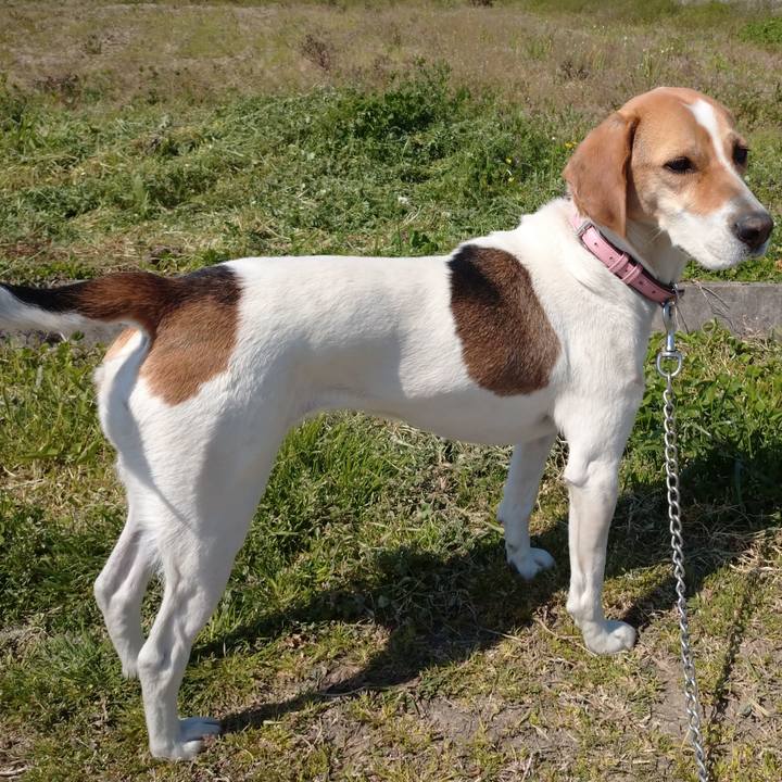 4594fac5 fbc5 41e6 91d8 fcc86426896b 1586239144901