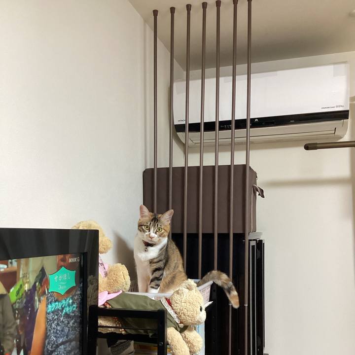 4594fe5f ea78 4655 bbba 93009493eb0e 1666519396507