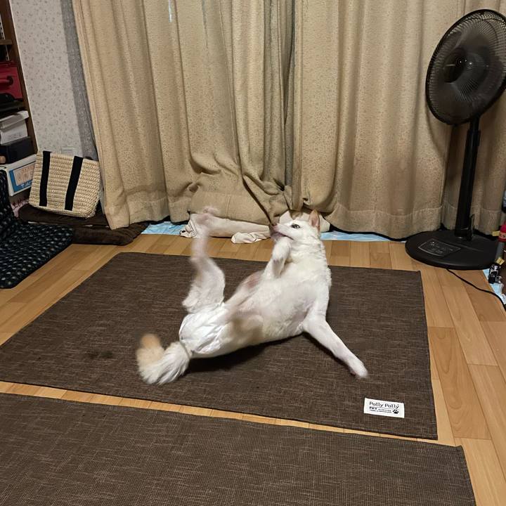 45955929 7d88 4596 8d52 735d4175ce12 1663593225788