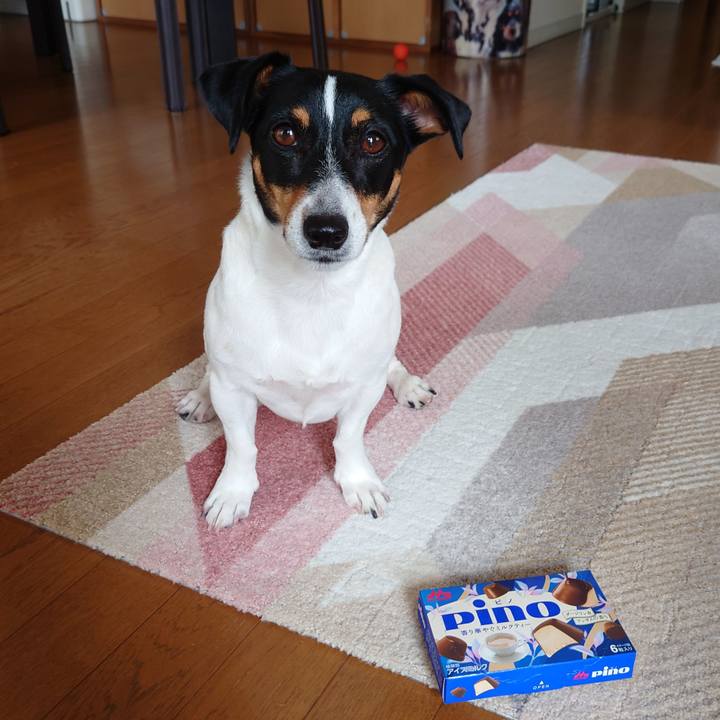 459569bf 5886 4771 827a 6d27da2f685c 1661305267478