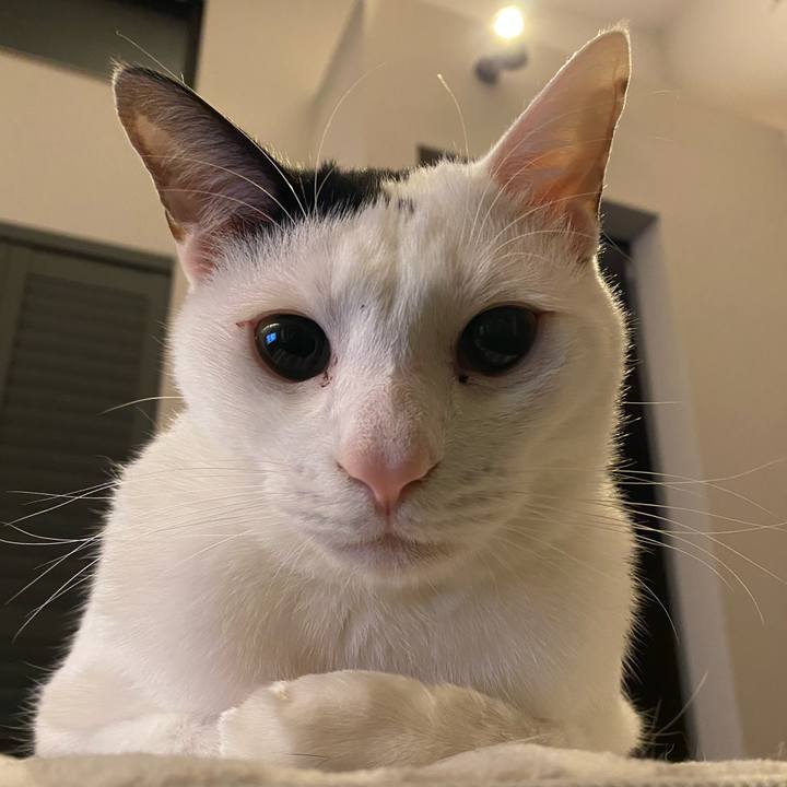 459571e0 b524 47ac a87b c8ea6af1acfd 1744031989332