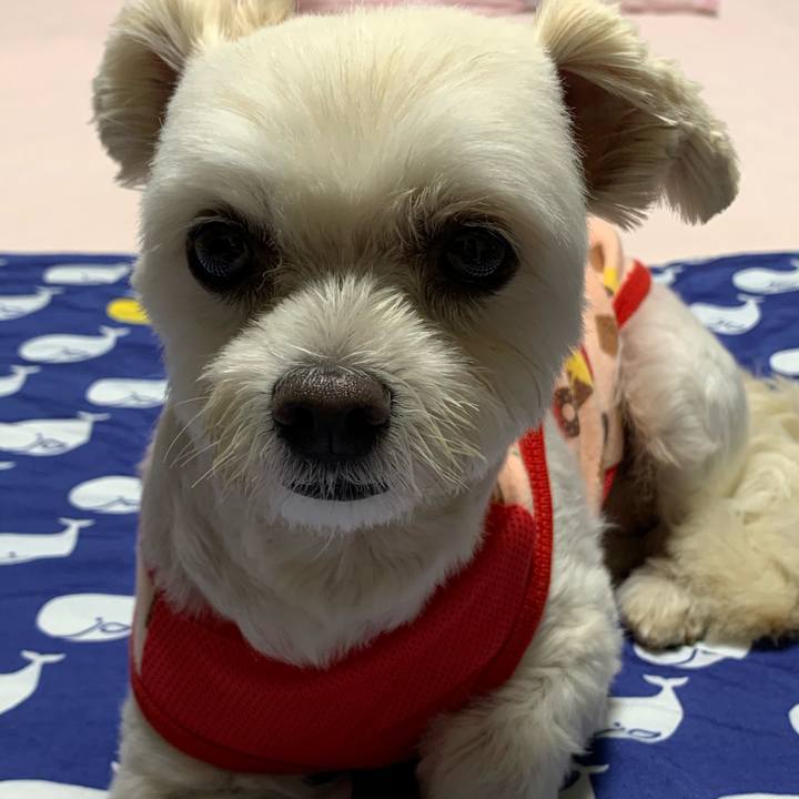 45957345 9b56 4f5b a8de 21b20bffeea9 1598442571354