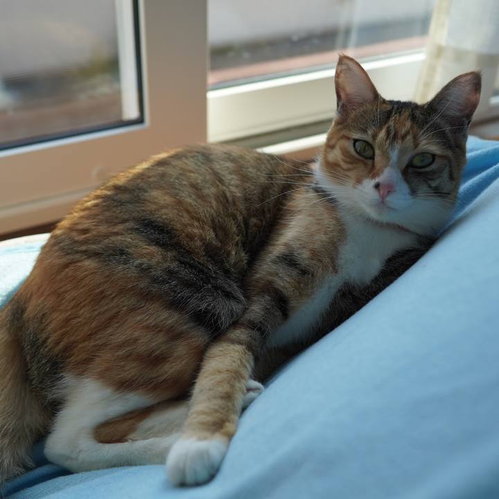 459587b2 45b6 40b6 8add b97e4fd76e90 1605522577335