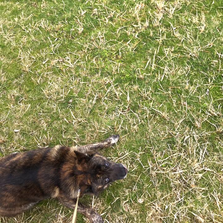 4595cbbb a037 4ea0 aebe eb3792c64cb0 1554091433055