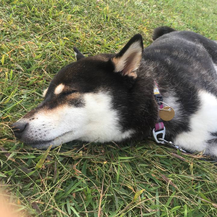 4595e234 ef83 4232 92a9 5361f2f7cb16 1633777170333