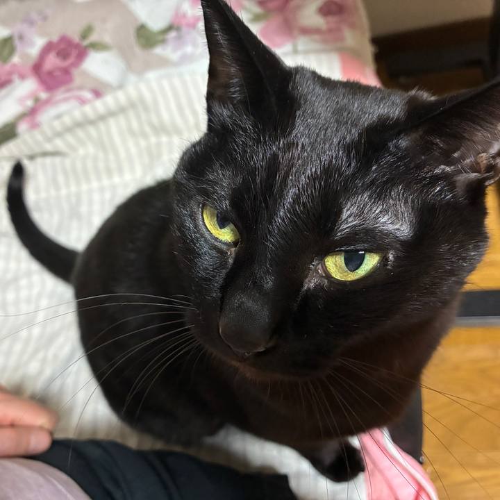 4595ee6c d9cb 45df beb9 91015f72e5da 1770896027807