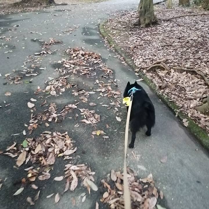 4596424e 1b7b 4104 ba1f 9cdbe3b676e1 1660856768084