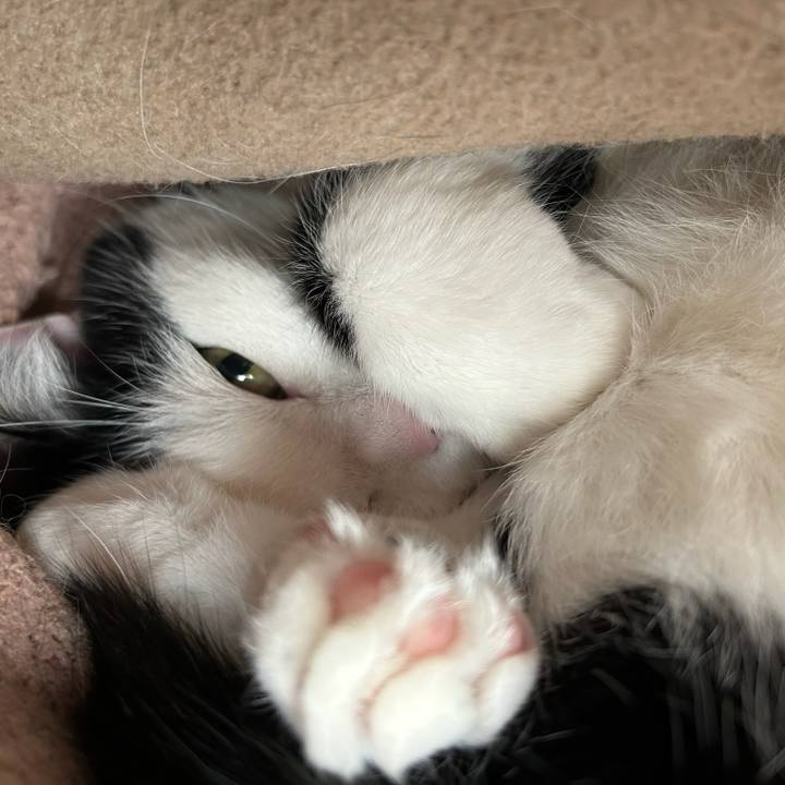 459657f9 f29a 4ac7 9bd2 90aaf5b7e5e0 1773182695642