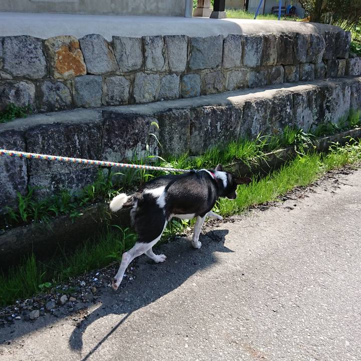 45966c72 d060 40f6 8e72 c9e38e7efcc2 1537269162839