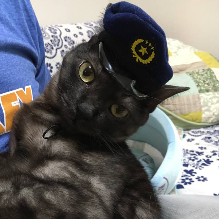 4596b8b0 f53a 4104 b421 9242a9d7a35c 1565584839497