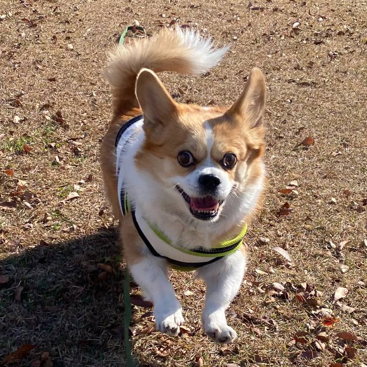 4596bfa8 d0a9 4910 96ee 5f7f161e1175 1764903649838