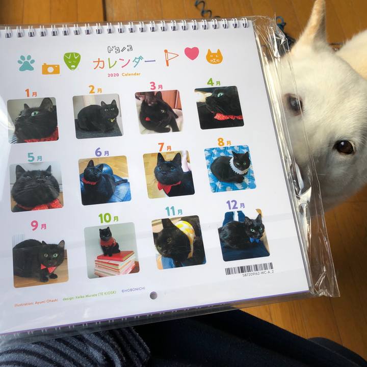 45970b07 5a8f 41f5 bbc1 9edd4d7757f3 1576989172298