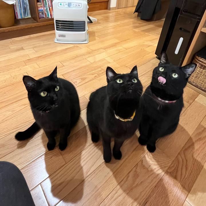 45971366 c12d 47df 8f00 b1e64acb2124 1639183667240