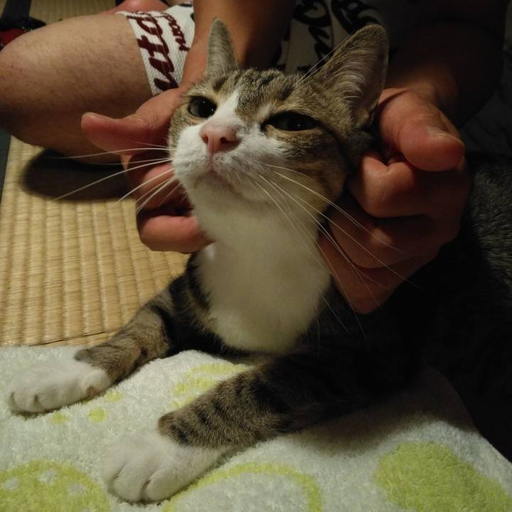 45974e97 a83f 4df9 afcc 6f02616f189b 1660653462879