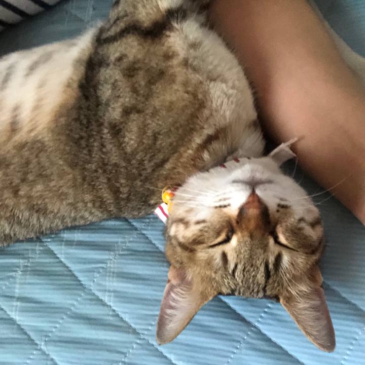 45976896 dd72 4e9c b3b1 a516d7c9f8de 1621780686087