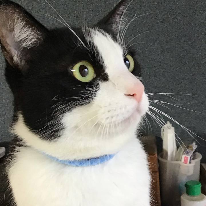 45976fe3 c367 4118 a36c aa14a0fcad32 1731281077955