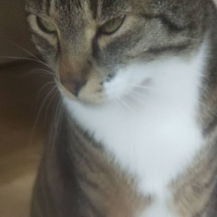 45977d2c 6dc3 405f bda9 d40d5fc2a0bc 1621434368451