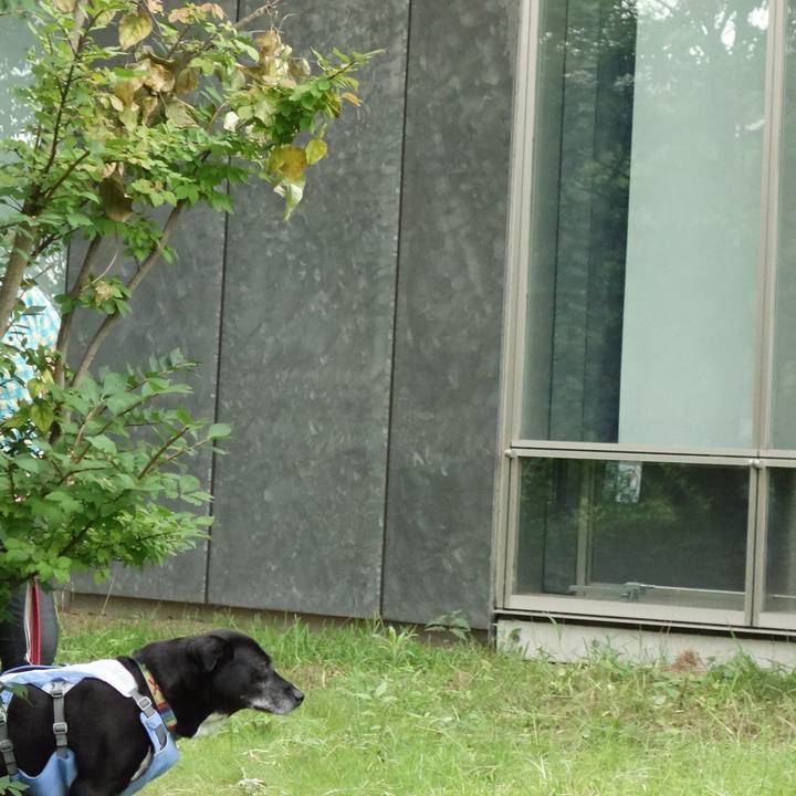 45979805 b1ee 401a af2b 28549f444ddf 1722643620843