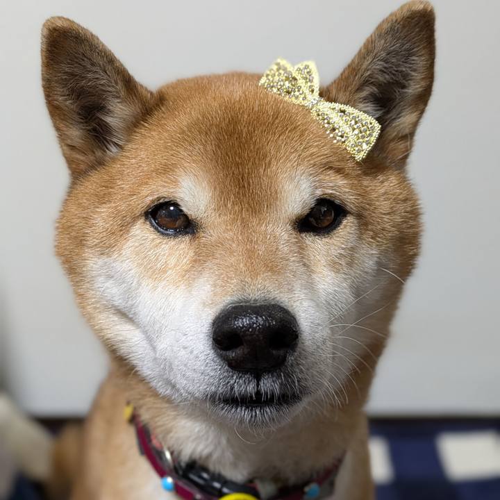 4597d34d 7cb2 486c 9ad1 eac8f9a65492 1740480200151