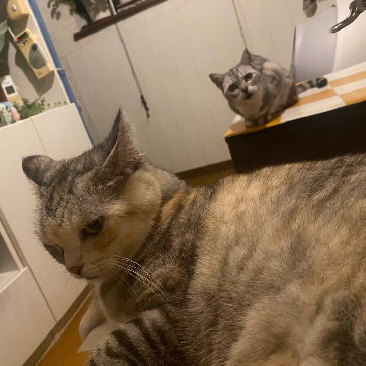 4597e29a a3a7 4740 906f 382d8ebafaa1 1753192355024