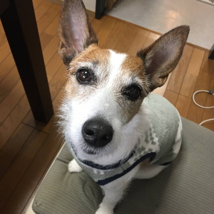 45980cb6 bd8f 442b 875b 222fabb8cb74 1590018638502