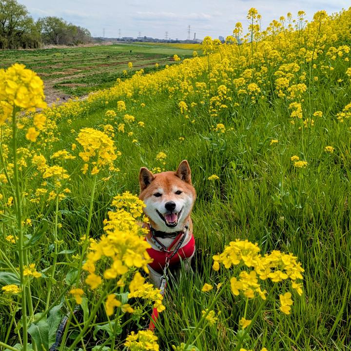 45985171 561f 4fcb 8f65 ab48bb38caf6 1743158462791