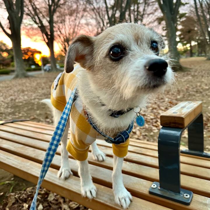 45986497 8d31 440a 8509 1c3fb0f85c11 1701165907755