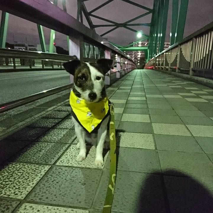 45986b3b 2868 483e 87b1 c6bba7808a6b 1521716893494