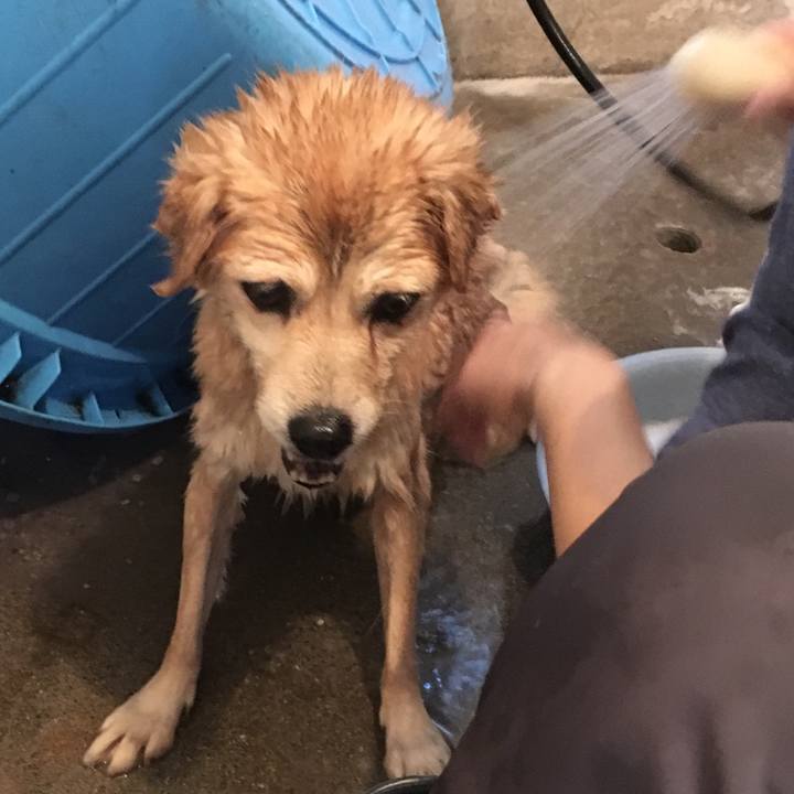 45988d21 20cd 4c2c 95f6 08f1dd885276 1539596413581