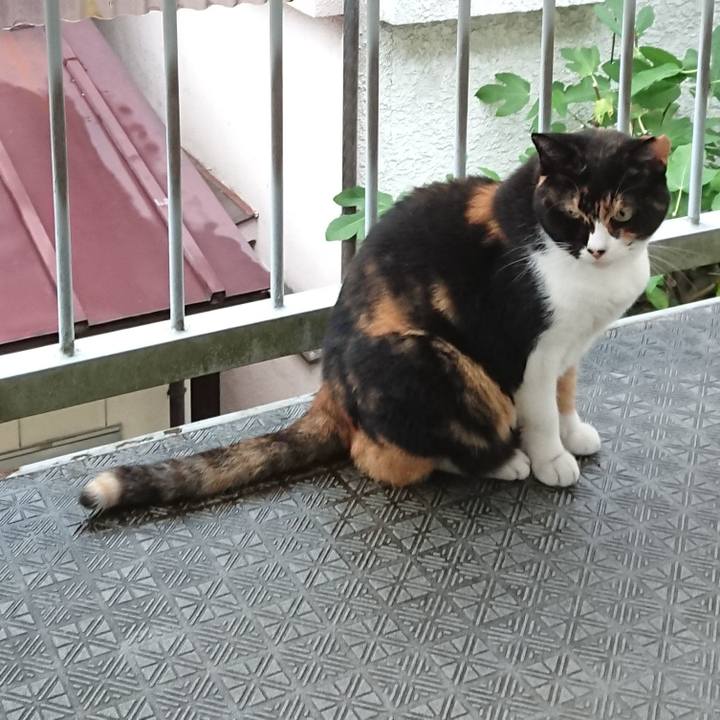 4598b714 ec4b 4c05 87e3 609202fe1fc7 1600033709195